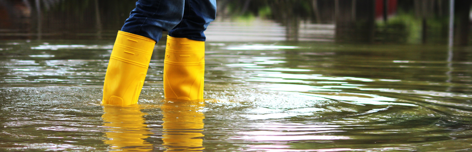 Wellies Flood2480800 Deetu